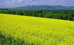 怎么用空氣負(fù)氧離子監(jiān)測系統(tǒng)？