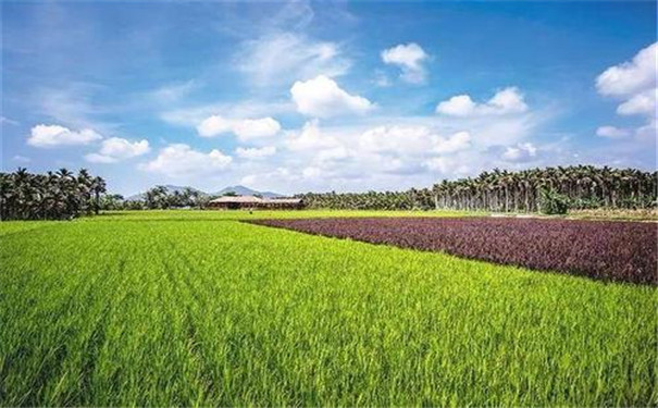 環(huán)境空氣質(zhì)量自動(dòng)監(jiān)測儀